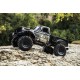 HOBBYTECH CRX V2 WILD SURVIVAL