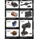 HOBBYTECH CRX V2 WILD SURVIVAL