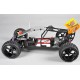 FG 1/6 RTR ELECTRIC BUGGY 4WD 535E (BODY CLEAR)