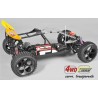 FG 1/6 RTR ELECTRIC BUGGY 4WD 535E (BODY CLEAR)