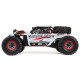 LOSI SUPER ROCK REY 1/6 ROCK RACER 4WD AVC RTR
