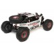 LOSI SUPER ROCK REY 1/6 ROCK RACER 4WD AVC RTR