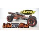 CARSON 1:5 Wild GP ATTACK 2.4G RTR