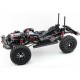  RGT DESERT FOX 1/10 WATERPROOF YELLOW RTR