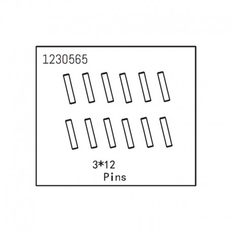 ABSIMA PINS 3X12