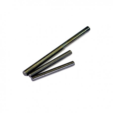 FTX VANTAGE/CARNAGE HINGE PINS FR/RR OUTER X 1 & INNER X 1