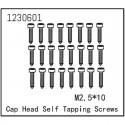 ABSIMA SELF-TAPPING CAP SCREW M2.5X12