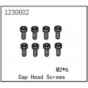 ABSIMA CAP HEAD SCREW M2X6