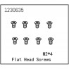 ABSIMA FLAT HEAD SCREW M2X4