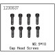 ABSIMA CAP HEAD SCREW M2.5X12