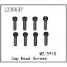 ABSIMA CAP HEAD SCREW M2.5X12
