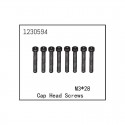 ABSIMA CAP HEAD SCREW M3X28