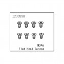 ABSIMA FLAT HEAD SCREW M3X6