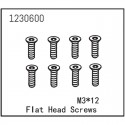 ABSIMA FLAT HEAD SCREW M3X12