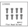 ABSIMA FLAT HEAD SCREW M3X12