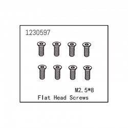 ABSIMA FLAT HEAD SCREW M2.5X8