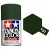 TAMIYA TS2 VERDE OSCRURO MATE