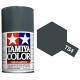 TAMIYA TS4 GRIS-ALEMAN MATE