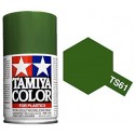 TAMIYA TS61 VERDE MATE OTAN