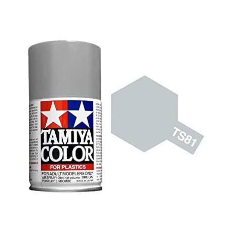 TAMIYA TS81 GRIS ROYAL NAVY