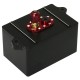 EAGLE RACING ALU RECEIVER BOX FOR CC02