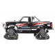 TAMIYA TT-02FT  LANDFREEDER QUADTRACK 