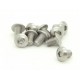 TITANIUM M4X6 BUTTON HEAD HEX SCREW (10 PCS)