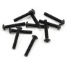 SCREW BUTTON HEAD HEX 3X18MM STEEL BLACK (10 PCS)
