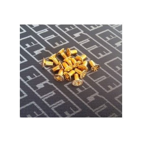 ELITE GOLD TORNILLERIA AVELLANADO M3X6 (10PCS)