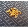 ELITE GOLD TORNILLERIA AVELLANADO M3X6 (10PCS)