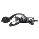 LOSI SUPER BAJA REY 2.0 1/6 BRUSHLESS DESERT TRUCK 4WD RTR