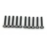 SCREW SOCKET HEAD HEX M3X14 STEEL BLACK (10PCS)