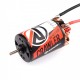  RUDDOG CRAWLER 550 14T 5-SLOT BRUSHED MOTOR