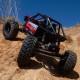 AXIAL 1/10 CAPRA 1.9 4WS UNLIMITED TRAIL BUGGY RTR
