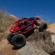 AXIAL 1/10 CAPRA 1.9 4WS UNLIMITED TRAIL BUGGY RTR