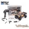 Hobbytech CRX18 Naranja