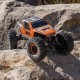 AXIAL AX24 XC-1 1/24 Rock Crawler 4WS RTR