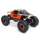 AXIAL AX24 XC-1 1/24 Rock Crawler 4WS RTR