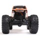 AXIAL AX24 XC-1 1/24 Rock Crawler 4WS RTR