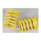 TRF SHORT DAMPER SPRING