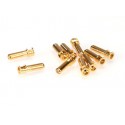 RUDDOG 5mm Gold Cooling Head Bullet Plugs (10pcs)