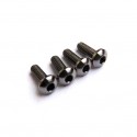 Hiro Seiko M2x10 Titan64 Hex Socket Button Head Screw (4pcs)