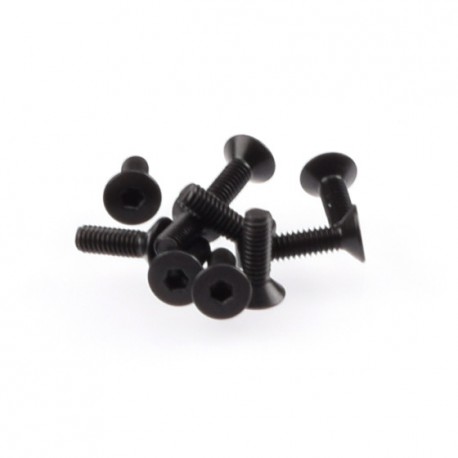RUDDOG M2.5x8mm Flat Head Screws (10pcs)
