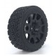 AUSTAR SCORPION+SP TERRA BLACK
