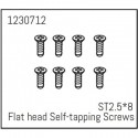 ABSIMA Flat head Self-tapping screws ST2.5x8