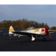 HANGAR 9 P-47 Thunderbolt Fun Scale 1.5m PNP