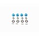 CARSON Wheel Nut Set (4)