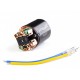 TRACKSTAR 1/10 BRUSHED MOTOR 540/ 55T