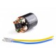 TRACKSTAR 1/10 BRUSHED MOTOR 540/ 80T