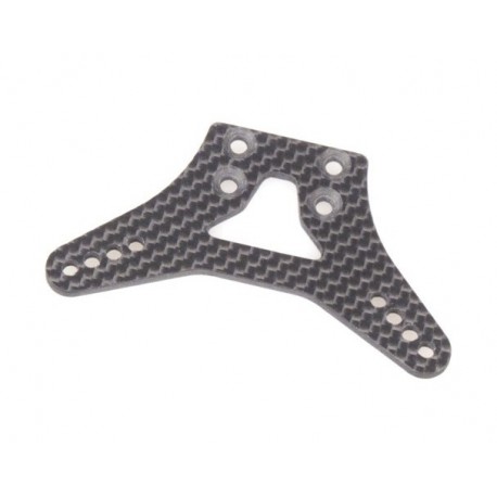 HOBBYTECH Carbon Front Shock Holder (hecho en Francia)